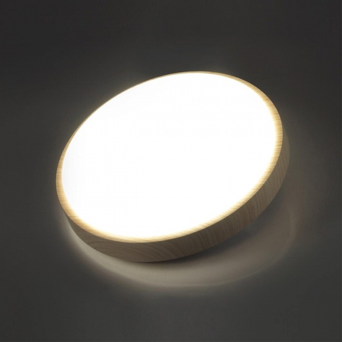 Настенно-потолочный светодиодный светильник Sonex Losta 7607/DL - 1