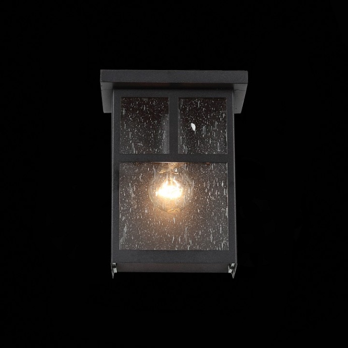Накладной светильник ST-Luce Glazgo SL079.401.01 - 2
