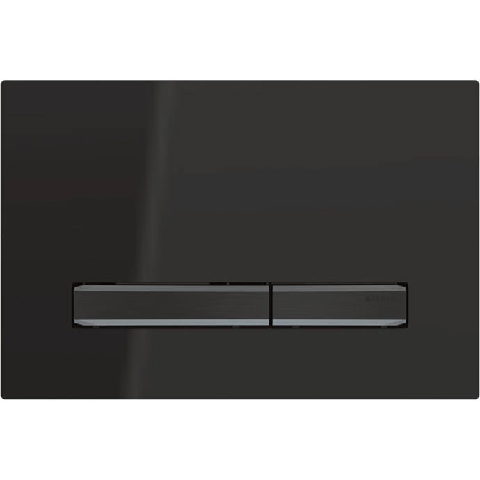 Кнопка для инсталляции для унитаза, цвет: черный 115.671.DW.2 - 0