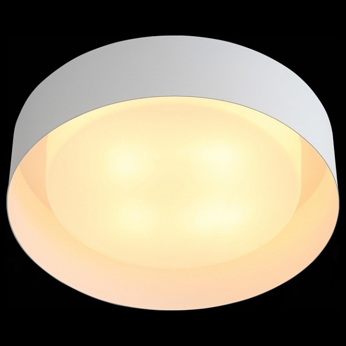 Накладной светильник ST-Luce Chio SL392.502.04 - 1
