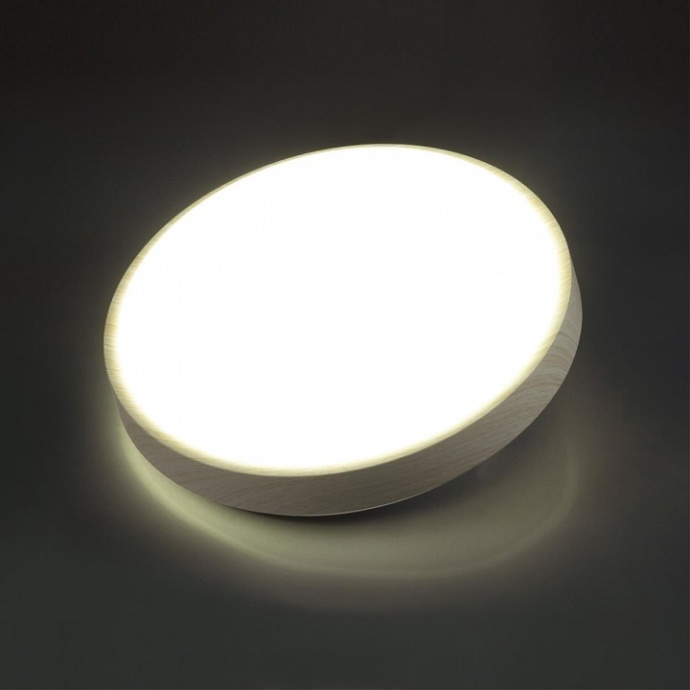 Настенно-потолочный светодиодный светильник Sonex Losta 7628/DL - 1