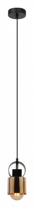 Подвесной светильник Lussole Gilpin LSP-8568 - 2