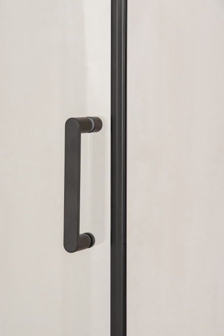 Душевая дверь в нишу DIWO Кострома KS05-100TB 100 см, профиль черный - 1