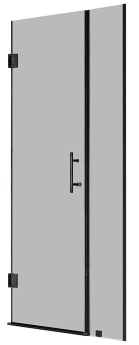 Душевая дверь RGW Hotel HO-012-B 100х195 профиль черный стекло тонированное 350601200-34 - 0