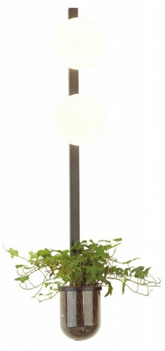Настенный светильник Odeon Light Walli Flower 4681/2WA - 1