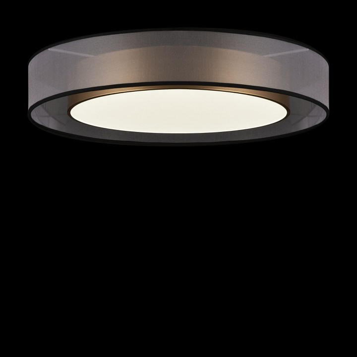 Потолочный светодиодный светильник Freya Zoticus FR6005CL-L48G - 1