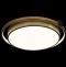 Потолочный светодиодный светильник Loft IT Mike 10170 - 2