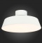 Накладной светильник EVOLUCE Vigo SLE600252-01 - 3