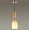 Подвесной светильник Lumion Suspentioni Gillian 4589/1B - 1
