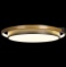 Потолочный светодиодный светильник Loft IT Mike 10170 - 3