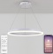 Подвесной светильник Natali Kovaltseva Oreol LED LAMPS 81294 - 1