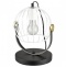 Настольная лампа декоративная Vele Luce Pasquale VL6251N01 - 0