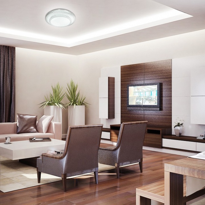 Настенно-потолочный светодиодный светильник Sonex Pale Floors 2041/DL - 3